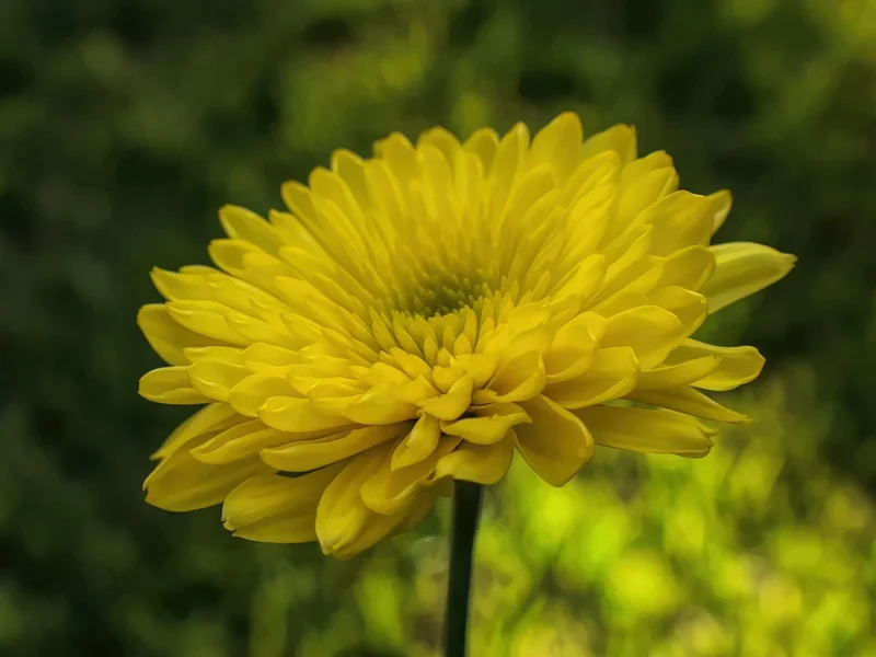 米博体育PG电子平台